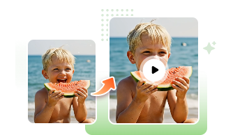Bild zu Video