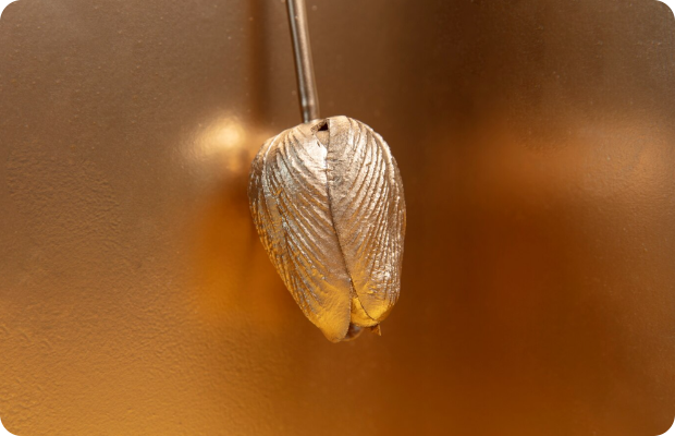 vidnoz ai video enhancer - video schaerfen