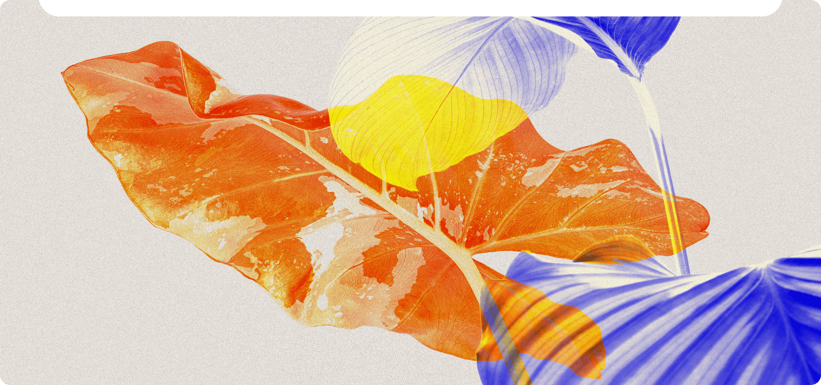 AI Describe Images for Artwork Recreation