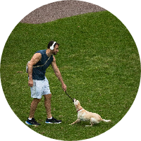 Comentario sobre Vidnoz Texto a Voz - 4