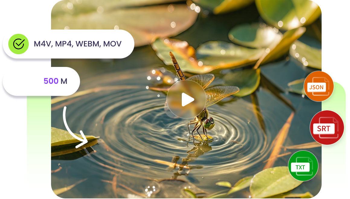 Trascrizione da video a testo in tutti i formati